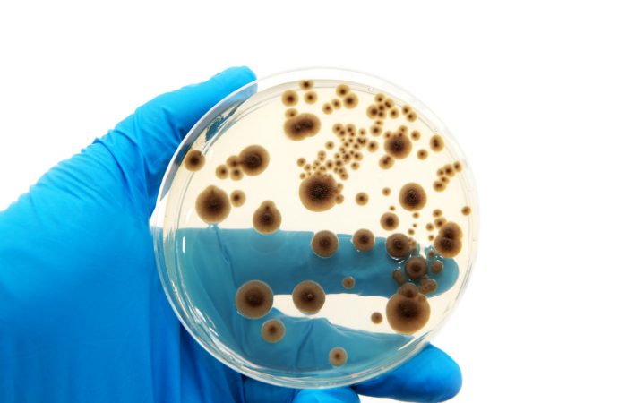 Plano nacional em resistência aos antimicrobianos